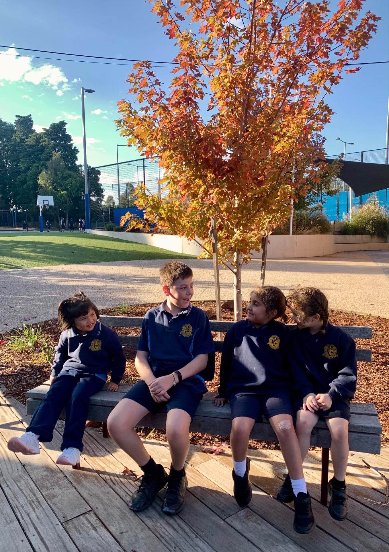 St John's Mitcham students playground